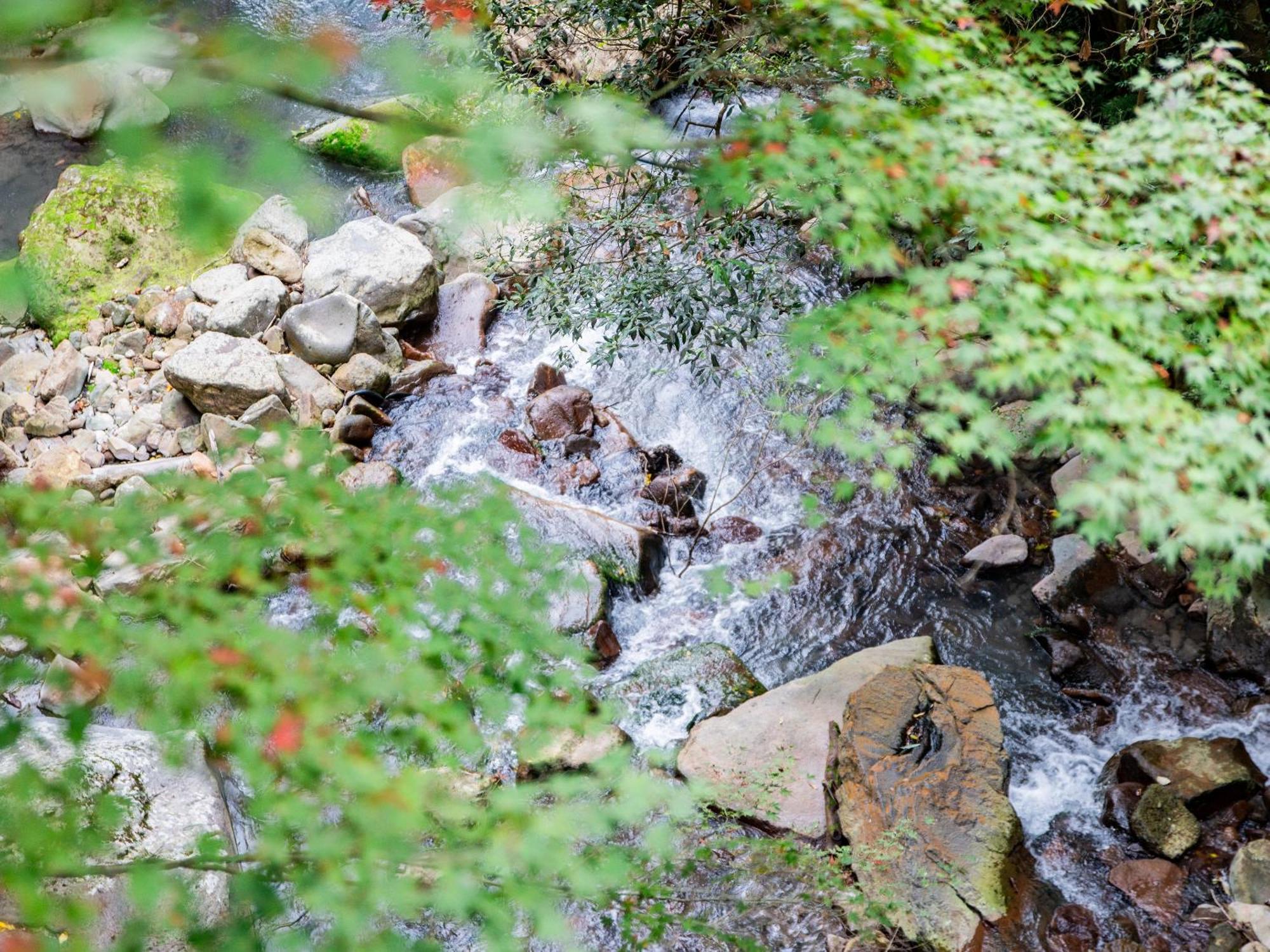 Hotel Kirishima Momijidani Seiryuso Exteriér fotografie